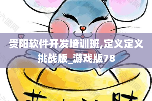 贵阳软件开发培训班,定义定义挑战版_游戏版78