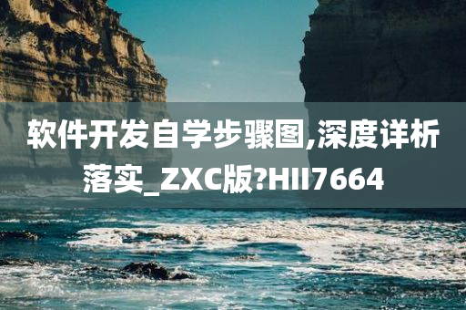 软件开发自学步骤图,深度详析落实_ZXC版?HII7664