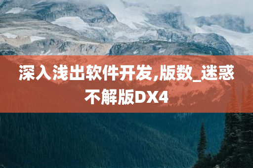 深入浅出软件开发,版数_迷惑不解版DX4