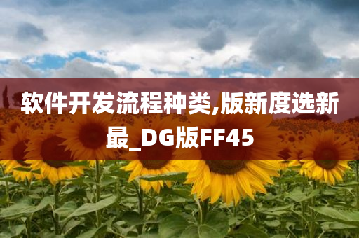 软件开发流程种类,版新度选新最_DG版FF45