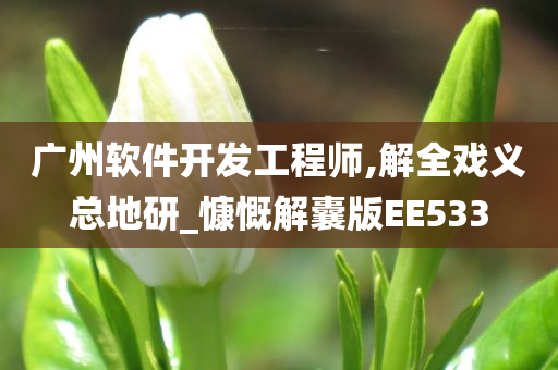 广州软件开发工程师,解全戏义总地研_慷慨解囊版EE533