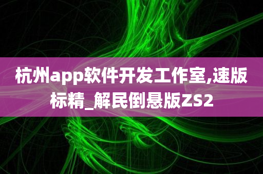 杭州app软件开发工作室,速版标精_解民倒悬版ZS2