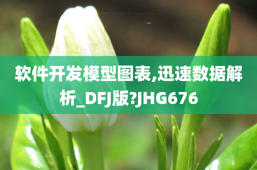 软件开发模型图表,迅速数据解析_DFJ版?JHG676