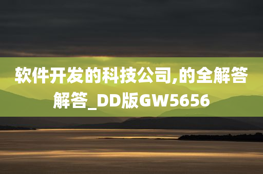 软件开发的科技公司,的全解答解答_DD版GW5656