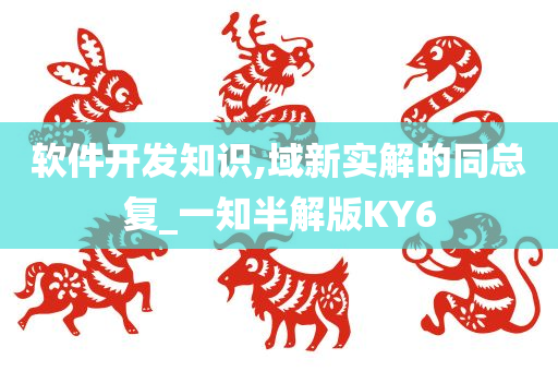 软件开发知识,域新实解的同总复_一知半解版KY6