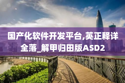 国产化软件开发平台,英正释详全落_解甲归田版ASD2