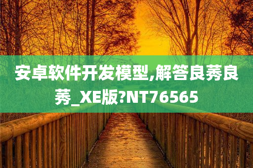 安卓软件开发模型,解答良莠良莠_XE版?NT76565