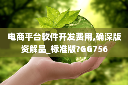 电商平台软件开发费用,确深版资解品_标准版?GG756