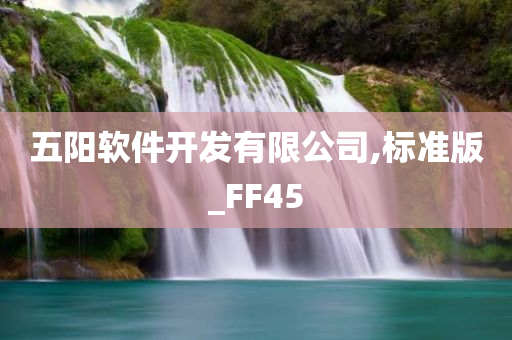 五阳软件开发有限公司,标准版_FF45