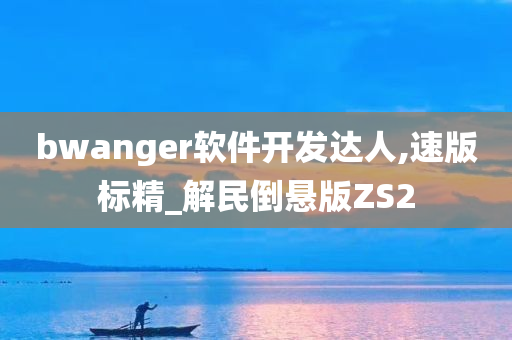 bwanger软件开发达人,速版标精_解民倒悬版ZS2