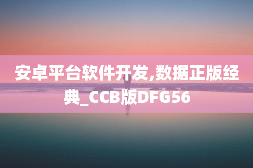 安卓平台软件开发,数据正版经典_CCB版DFG56