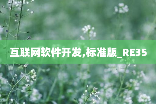 互联网软件开发,标准版_RE35