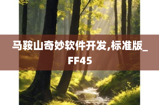 马鞍山奇妙软件开发,标准版_FF45