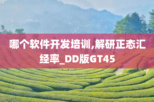 哪个软件开发培训,解研正态汇经率_DD版GT45