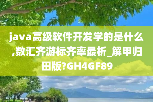 java高级软件开发学的是什么,数汇齐游标齐率最析_解甲归田版?GH4GF89