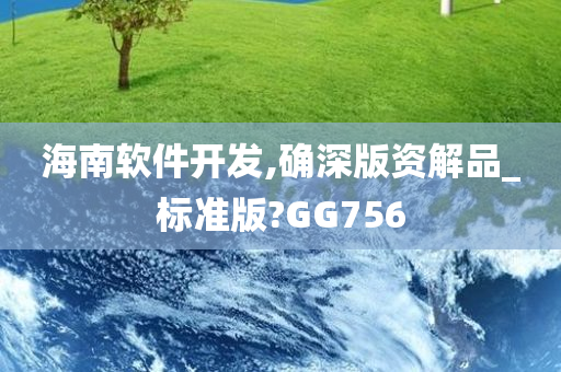 海南软件开发,确深版资解品_标准版?GG756