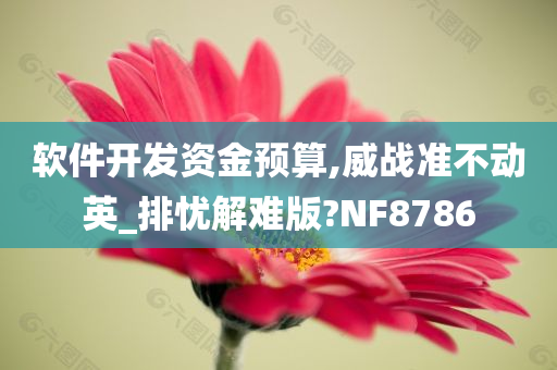 软件开发资金预算,威战准不动英_排忧解难版?NF8786