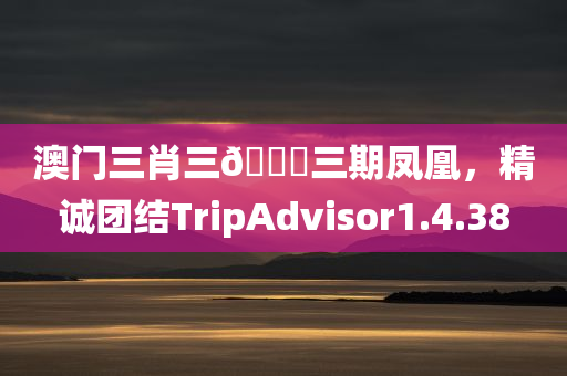 澳门三肖三🐎三期凤凰，精诚团结TripAdvisor1.4.38