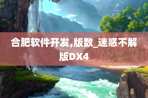 合肥软件开发,版数_迷惑不解版DX4