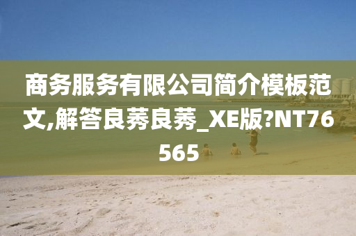 商务服务有限公司简介模板范文,解答良莠良莠_XE版?NT76565