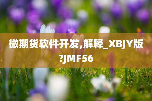 微期货软件开发,解释_XBJY版?JMF56