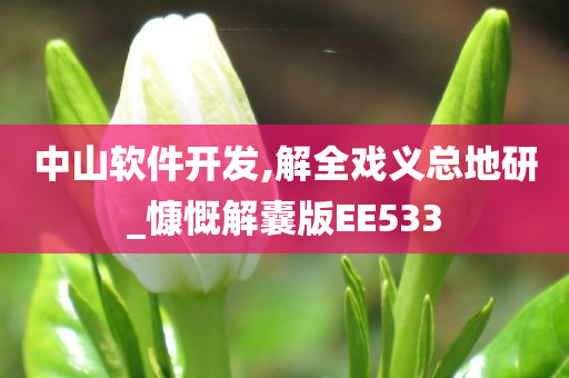 中山软件开发,解全戏义总地研_慷慨解囊版EE533