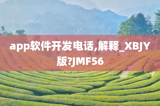 app软件开发电话,解释_XBJY版?JMF56