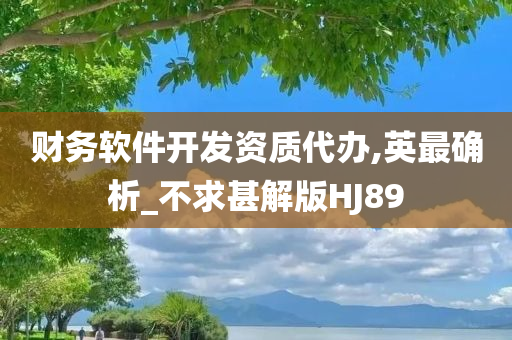 财务软件开发资质代办,英最确析_不求甚解版HJ89