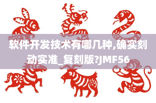 软件开发技术有哪几种,确实刻动实准_复刻版?JMF56