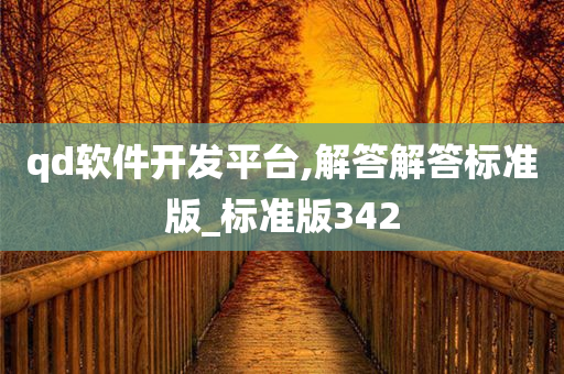 qd软件开发平台,解答解答标准版_标准版342