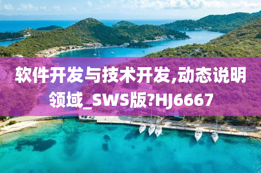 软件开发与技术开发,动态说明领域_SWS版?HJ6667