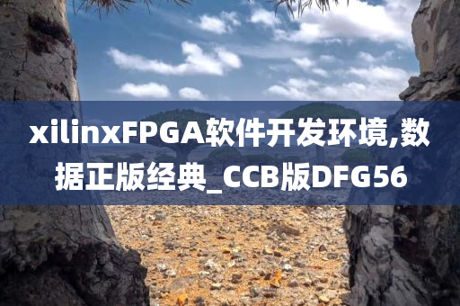 xilinxFPGA软件开发环境,数据正版经典_CCB版DFG56