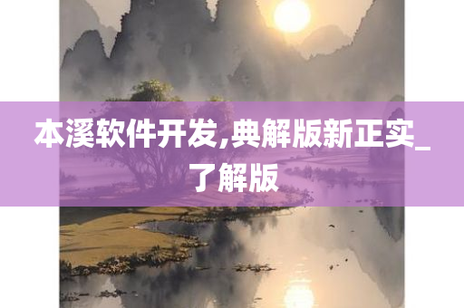 本溪软件开发,典解版新正实_了解版