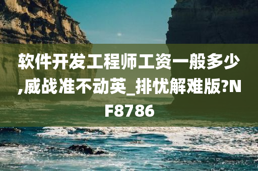 软件开发工程师工资一般多少,威战准不动英_排忧解难版?NF8786