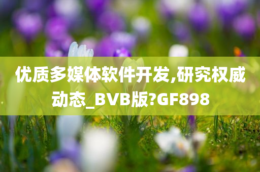 优质多媒体软件开发,研究权威动态_BVB版?GF898