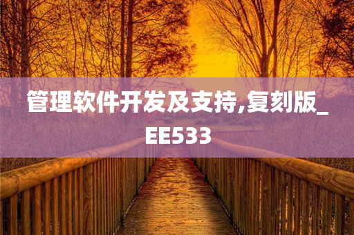 管理软件开发及支持,复刻版_EE533