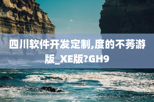 四川软件开发定制,度的不莠游版_XE版?GH9