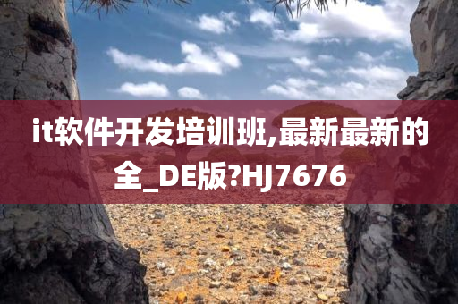 it软件开发培训班,最新最新的全_DE版?HJ7676