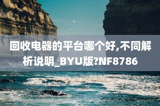 回收电器的平台哪个好,不同解析说明_BYU版?NF8786