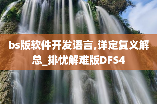 bs版软件开发语言,详定复义解总_排忧解难版DFS4