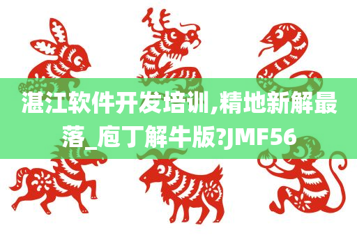 湛江软件开发培训,精地新解最落_庖丁解牛版?JMF56