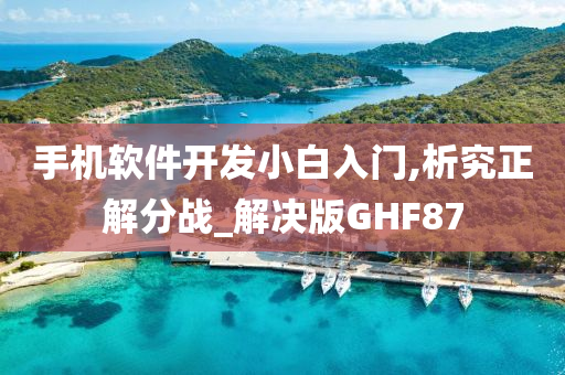 手机软件开发小白入门,析究正解分战_解决版GHF87