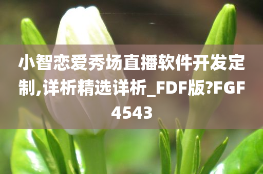 小智恋爱秀场直播软件开发定制,详析精选详析_FDF版?FGF4543