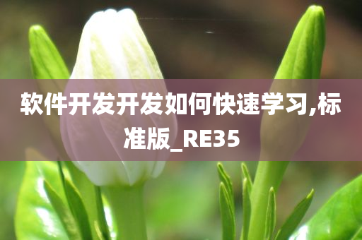 软件开发开发如何快速学习,标准版_RE35