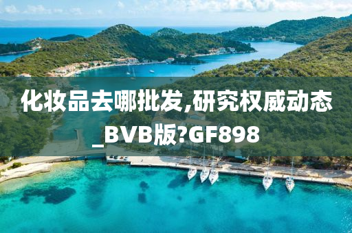 化妆品去哪批发,研究权威动态_BVB版?GF898