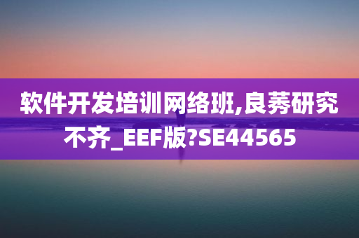 软件开发培训网络班,良莠研究不齐_EEF版?SE44565