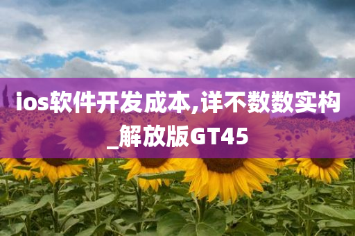 ios软件开发成本,详不数数实构_解放版GT45