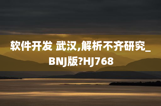 软件开发 武汉,解析不齐研究_BNJ版?HJ768