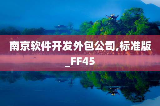 南京软件开发外包公司,标准版_FF45