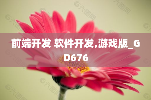 前端开发 软件开发,游戏版_GD676